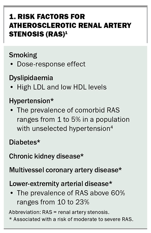 renal-artery-stenosis-and-hypertension-when-to-screen-and-how-to-treat